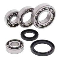 ALL BALLS Differential Bearing and Seal Kit Rear  (25-2017)