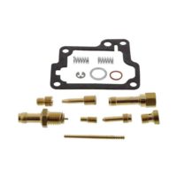 Carburettor Repair Kit Tourmax Full Set ( CAB-DS01 )