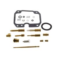 Carburettor Repair Kit Tourmax Full Set ( CAB-DY12 )