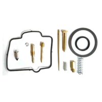 Carburettor Repair Kit Tourmax Full Set ( CAB-DH65 )