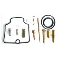 Carburettor Repair Kit Tourmax Full Set ( CAB-DS28 )