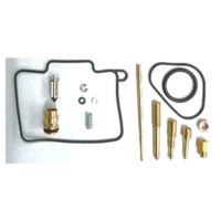 Carburettor Repair Kit Tourmax Full Set ( CAB-DY56 )