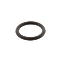 O-Ring (Orig Spare Part)