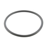 Valve Cover Gasket O-Ring (Orig Spare Part)