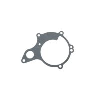 Water Pump Cover Gasket Oe Spare Part