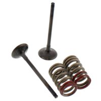 Exhaust Valve And Spring Set Steel Valve ( 28.SES4335-1 )