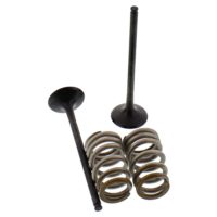 Exhaust Valve And Spring Set Steel Valve ( 28.SES6327-1 )