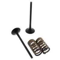 Exhaust Valve And Spring Set Steel Valve ( 28.SES6329-1 )