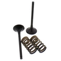Exhaust Valve And Spring Set Steel Valve ( 28.SES6353-1 )
