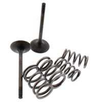 Exhaust Valve And Spring Set Steel Valve ( 28.SES4406-1 )