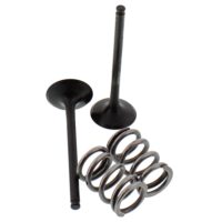 Exhaust Valve And Spring Set Steel Valve ( 28.SES3406-1 )