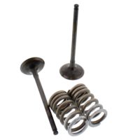 Exhaust Valve And Spring Set Steel Valve ( 28.SES3338-1 )