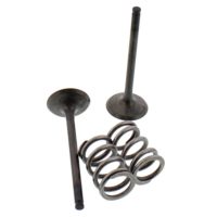 Exhaust Valve And Spring Set Steel Valve ( OE041/T10 )