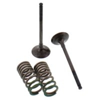Exhaust Valve And Spring Set Steel Valve ( 28.SES2402-1 )