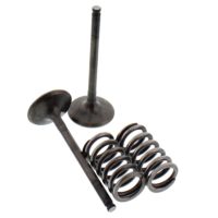 Exhaust Valve And Spring Set Steel Valve ( 28.SES2424-1 )