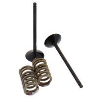 Exhaust Valve And Spring Set Steel Valve ( 28.SES2414-1 )