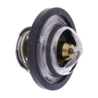 Thermostat (Orig Spare Part)