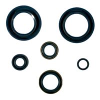 Engine Oil Seal Kit ( P400270400006 )