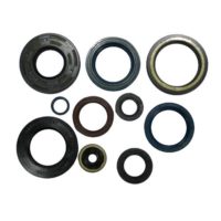Engine Oil Seal Kit ( P400270400220 )