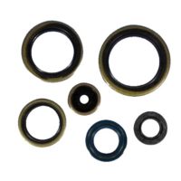 Engine Oil Seal Kit ( P400270400009 )