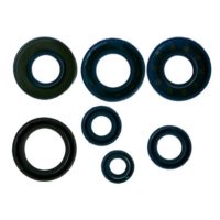 Engine Oil Seal Kit ( P400130400204/1 )