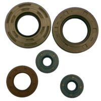Engine Oil Seal Kit ( P400010400014 )