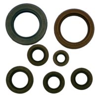 Engine Oil Seal Kit ( P400270400002 )