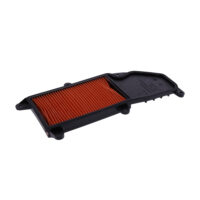 AIR FILTER (ORIG SPARE PART)